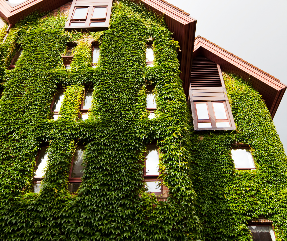 3 Ways to Give Back During the Holidays