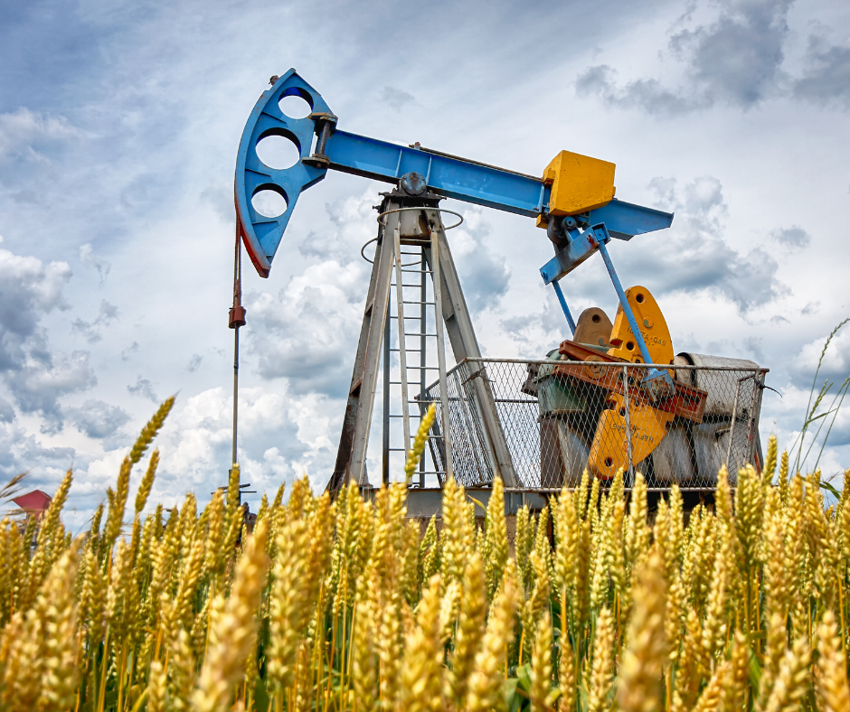 3 Ways to Give Back During the Holidays