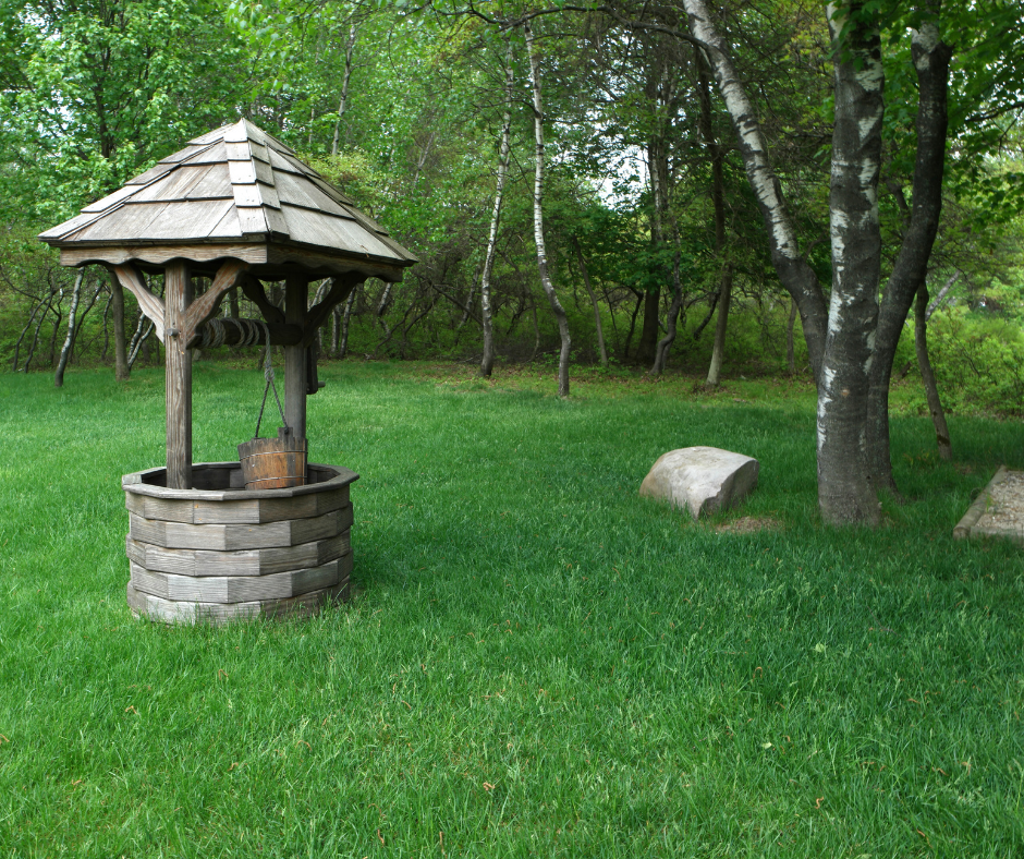 3 Ways to Give Back During the Holidays